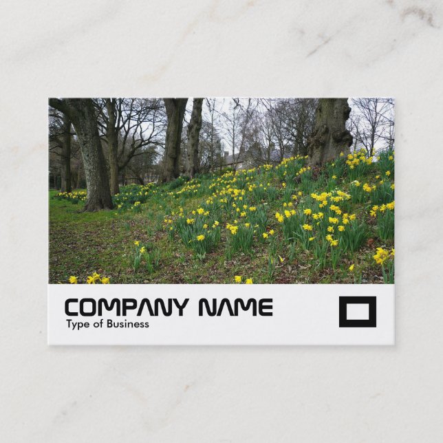 Cartão De Visita Parque de Bute Daffodils, Cardiff (Frente)