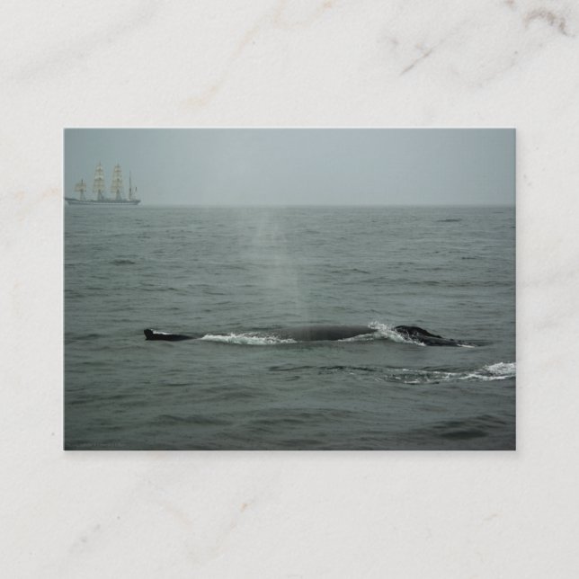 Cartão De Visita Passando Por Mini Impressão (Frente)