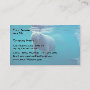 Cartão De Visita Peixe-boi de Florida