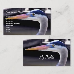 Cartão De Visita Perfil Heron Azul excelente