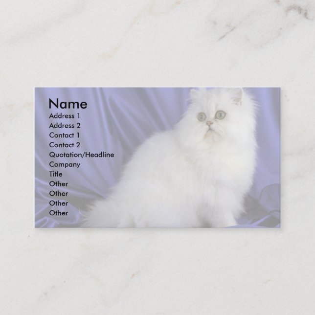 Cartão De Visita Persa, chinchila (Frente)