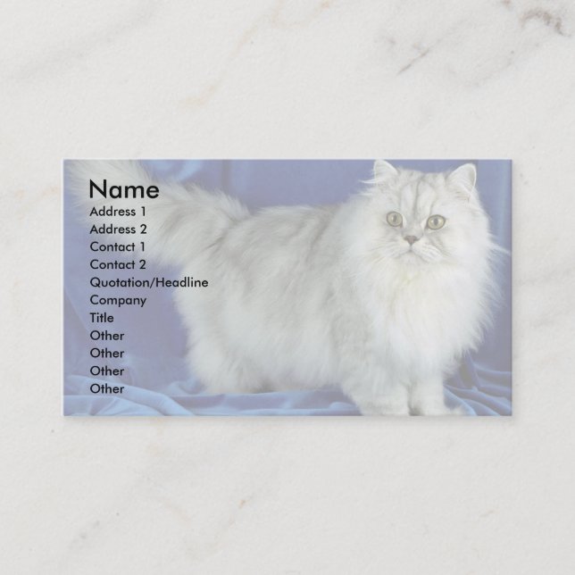 Cartão De Visita Persa, peltre (Frente)