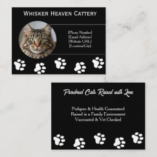 Cartão de Visita Personalizado de Gatinho