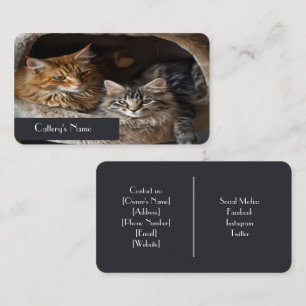 Cartão de Visita Personalizado para Cattery