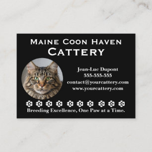 Cartão de Visita Personalizável de Cattery Maine C