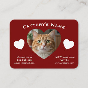 Cartão de Visita Personalizável de Gatinho