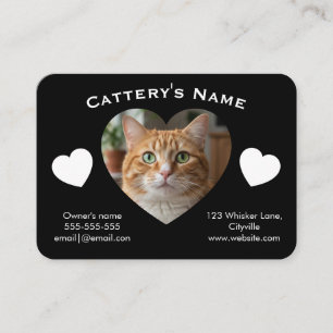 Cartão de Visita Personalizável Preto para Gatos