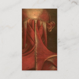 Cartão De Visita Pescoço da anatomia | do vintage