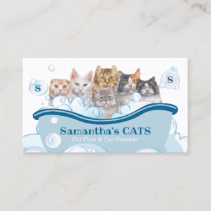 Cartão De Visita Pet Care Spa Salon Sitting Bathtub Groomer Cat