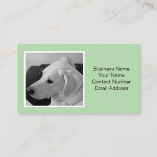 Cartão De Visita Pet de Foto de Cachorro Verde Simples e Elegante