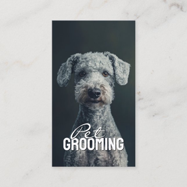 Cartão De Visita Pet Groomer Salon Care Bedlington Terrier Retrato (Frente)
