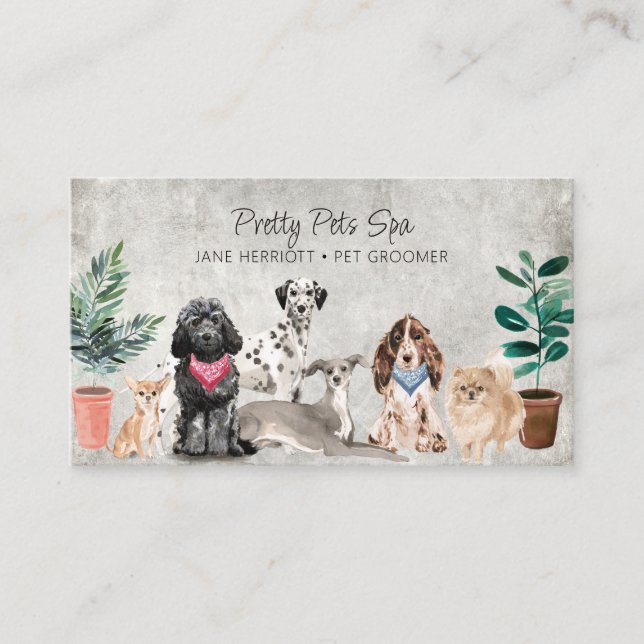 Cartão De Visita Pet Grooming Spa (Frente)
