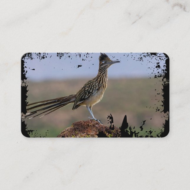 Cartão De Visita Picture Nature Desert Bird Roadrunner (Frente)