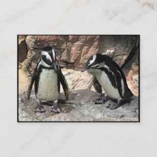 Cartão De Visita Pinguins ATC