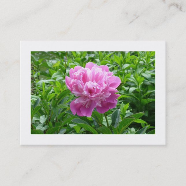 Cartão De Visita Pink Peony (Frente)