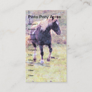 Cartão De Visita Pinto Pony