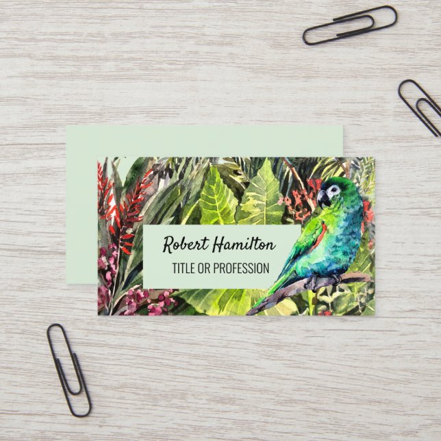 Cartão De Visita Pintura aquosa de papagaio Macaw de Hahn (Frente/Verso In Situ)