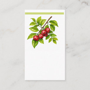 Cartão De Visita Pitangueira e Saí-andorinha (Tersina viridis)