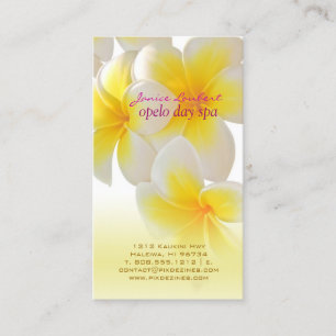Cartão De Visita Pix Dezines Hawaii Plumeria