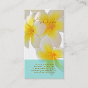Cartão De Visita Pix Dezines Hawaii Plumeria