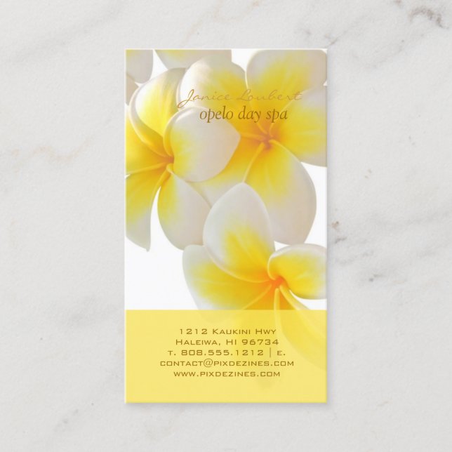 Cartão De Visita Pix Dezines Hawaii Plumeria (Frente)
