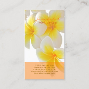 Cartão De Visita PixDezines Havaí Plumeria