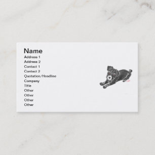 Cartão De Visita Placas Pup Schnauzer Modelo