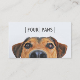 Cartão De Visita Planície bonito da foto do cão da fotografia