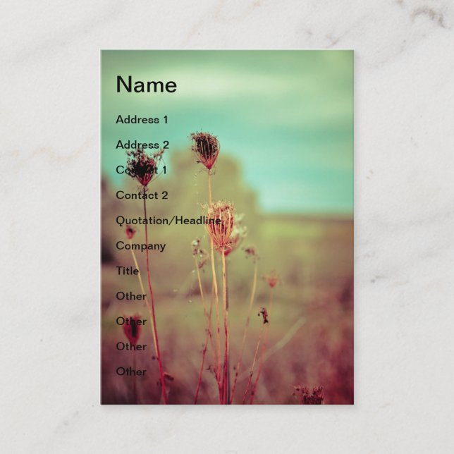 Cartão De Visita Plantas de colheita (Frente)