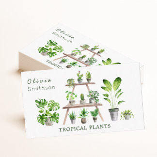Cartão De Visita Plantas domésticas e plantas botânicas suculentas