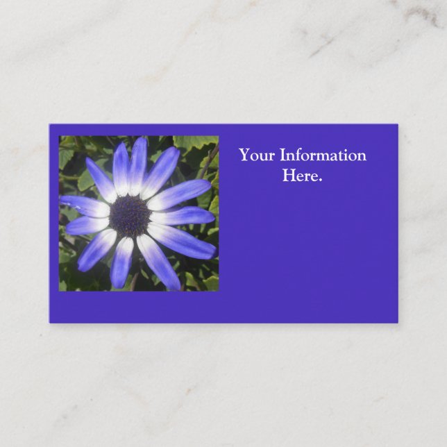 Cartão De Visita Pompeia (Frente)