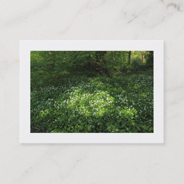 Cartão De Visita Ponto de Alho (Bordado) (Frente)