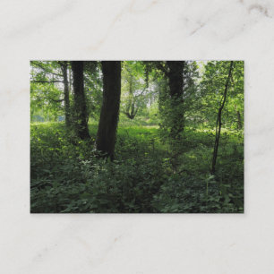 Cartão De Visita Primavera na floresta 04