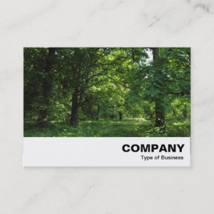 Cartão De Visita Primavera no bosque 01