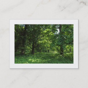 Cartão De Visita Primavera no bosque 01 (Bordado)