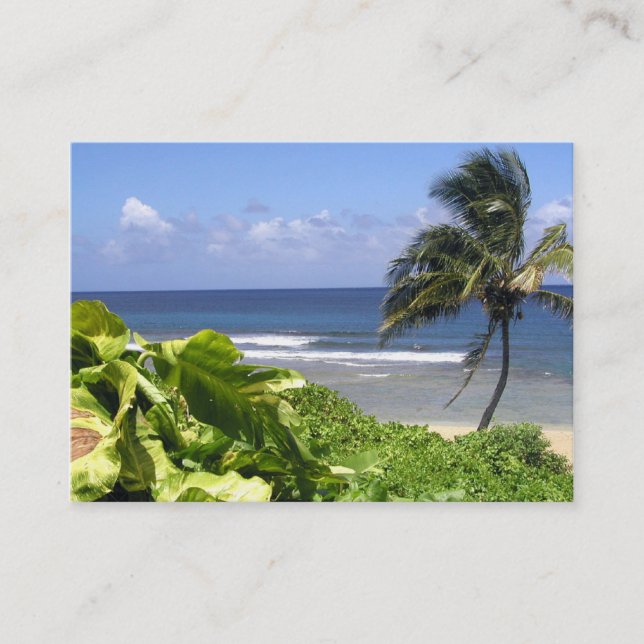 Cartão de visita profissional do viagem (Frente)