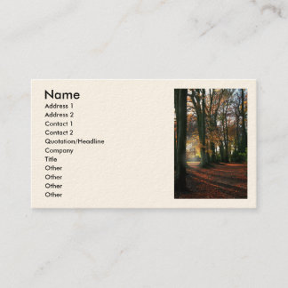 Cartão De Visita Profundamente no negócio/cartões de visitas do