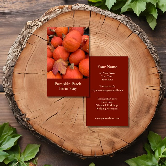 Cartão De Visita Pumpkin Laranja Russo (Rustic Orange Pumpkin business card for farm, fresh produce, farm stay, bio or organic company)