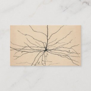 Cartão De Visita Pyramida Neuron Desenho Por Santiago Ramón Y Cajal