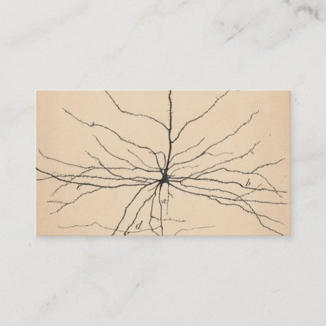 Cartão De Visita Pyramida Neuron Desenho Por Santiago Ramón Y Cajal (Frente)