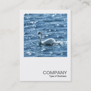 Cartão De Visita Quadrado - 0242 - Swan