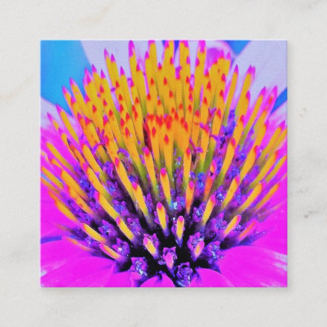 Cartão De Visita Quadrado Abstrato Macro Rosa Quente e Amarelo Coneflower (Frente)