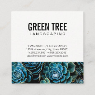 Cartão De Visita Quadrado Arquitetura Paisagista Serviço de jardinagem