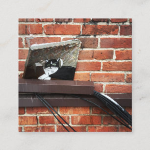 Cartão De Visita Quadrado arte do gato beco