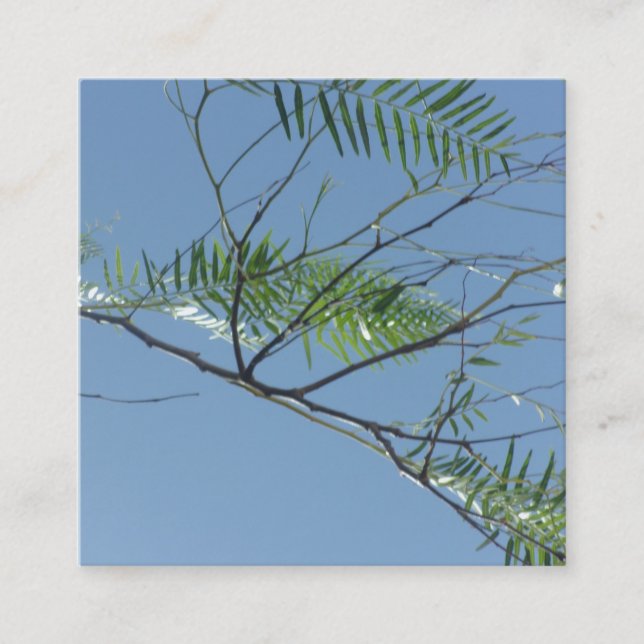 Cartão De Visita Quadrado Business Card style and design (Frente)