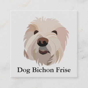 Cartão De Visita Quadrado Cachorro Bichon Frise Cachorro Fofo