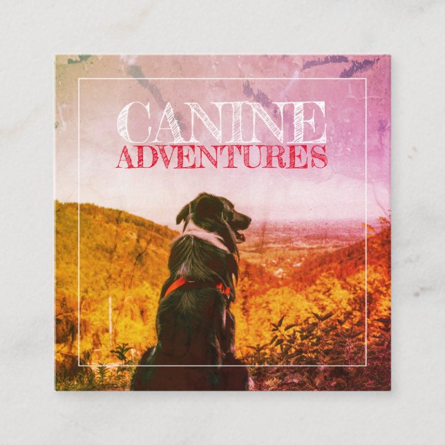 Cartão De Visita Quadrado Cachorro Walker E Aventuras Cachorosas Texturizada (Frente)