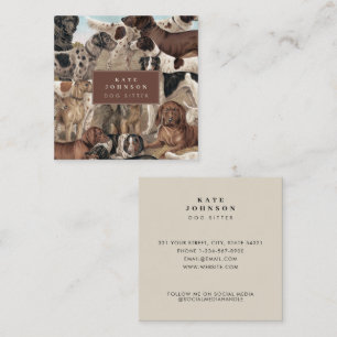 Cartão De Visita Quadrado Cães Vintage Cães Cães Cães Cães Formador de Cuida