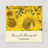 Campo Amarelo de Girassóis Fotografia