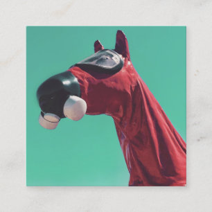 Cartão De Visita Quadrado cavalo de guerra fria